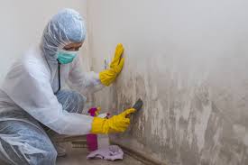 Mold Odor Removal Services in Hickman, NE